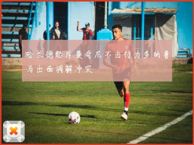 哈兰德怒斥曼奇尼不当行为多纳鲁马出面调解冲突