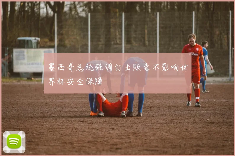墨西哥总统强调打击贩毒不影响世界杯安全保障