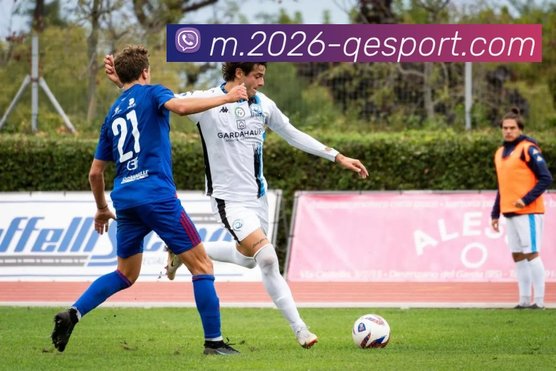 企鹅体育平台生态图