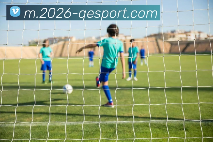 企鹅体育APP 封面图