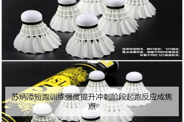 苏炳添短跑训练强度提升冲刺阶段起跑反应成焦点